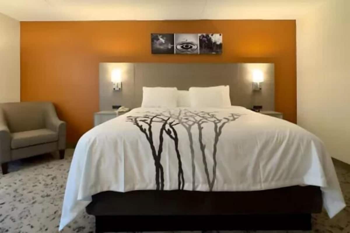 Standard Room, 1 King Bed, Non Smoking | In-room safe, iron/ironing board, free WiFi, bed sheets