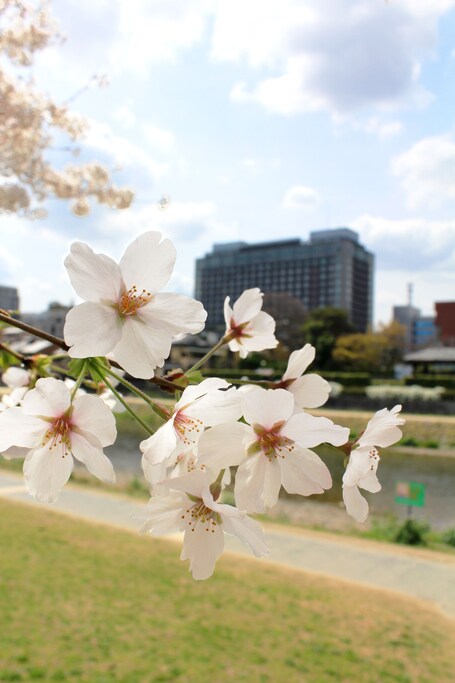 Hotel Okura Kyoto - Image 35