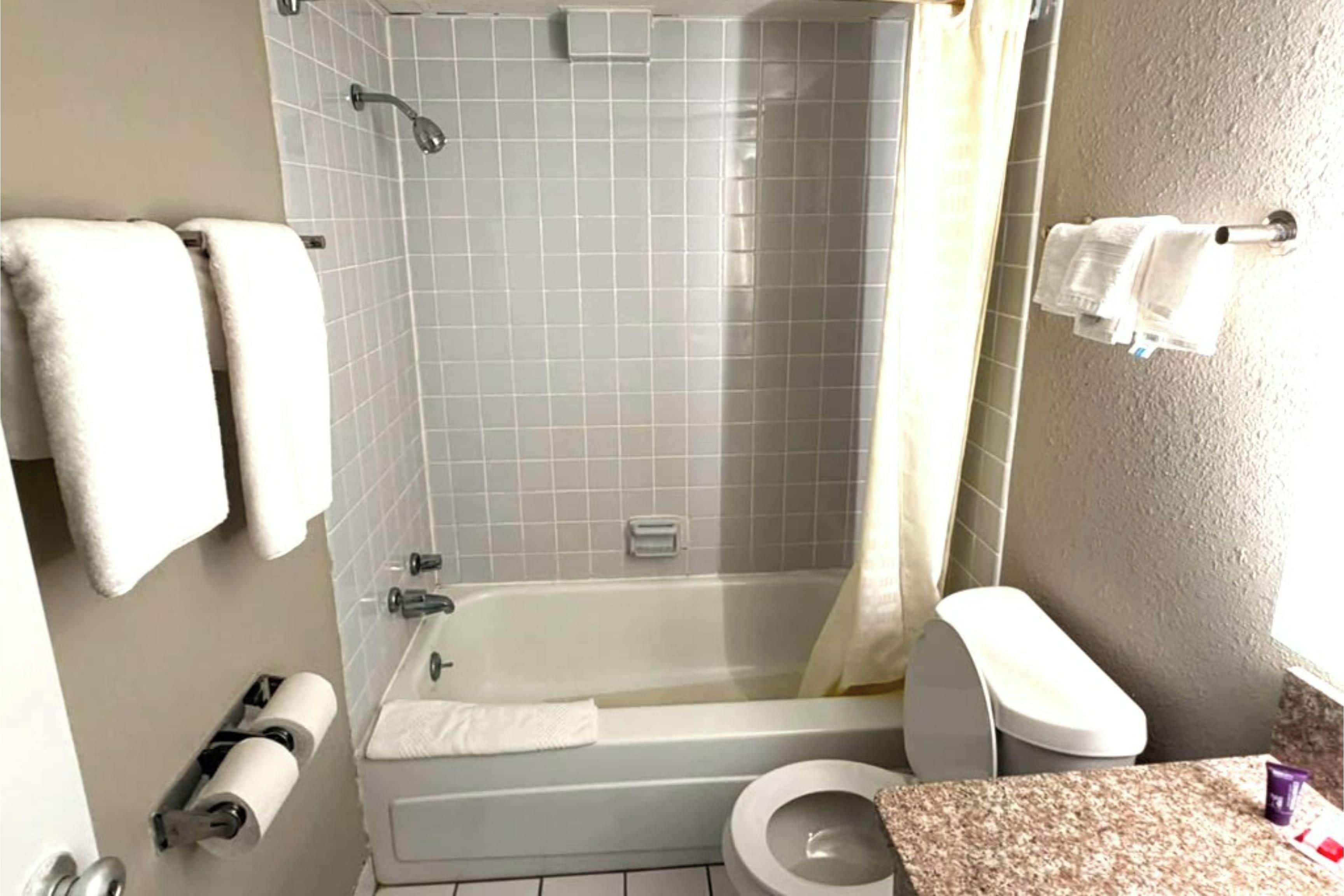 Eco-friendly toiletries, hair dryer, towels