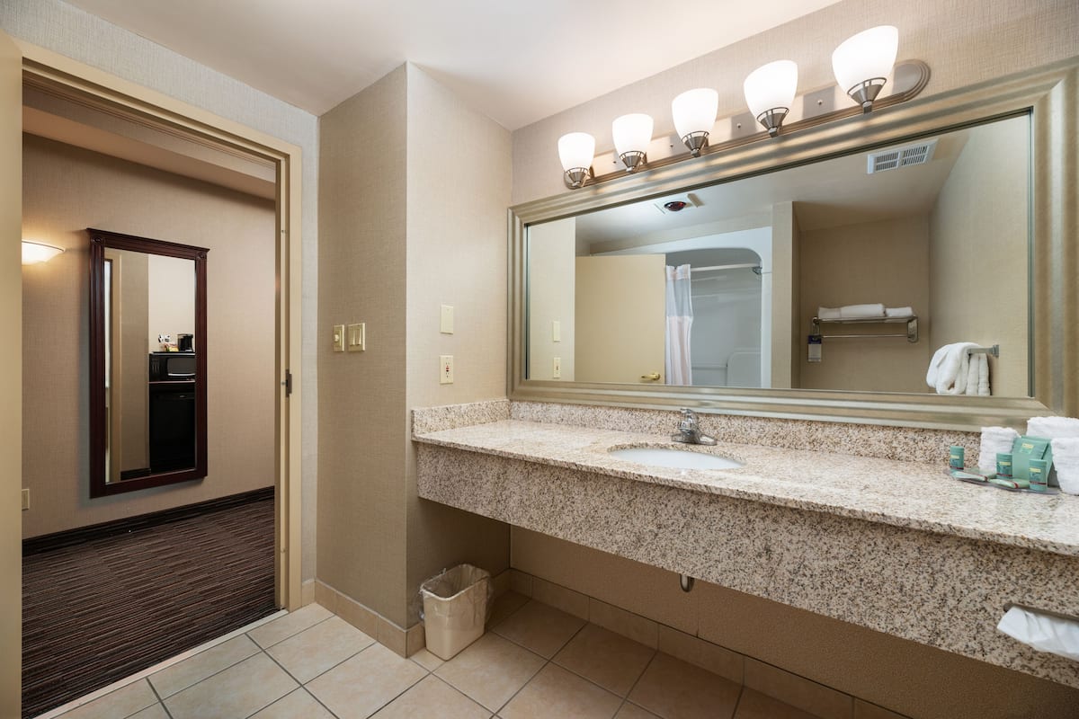 Amenidades de baño ecológicas, secadora de cabello, toallas, jabón