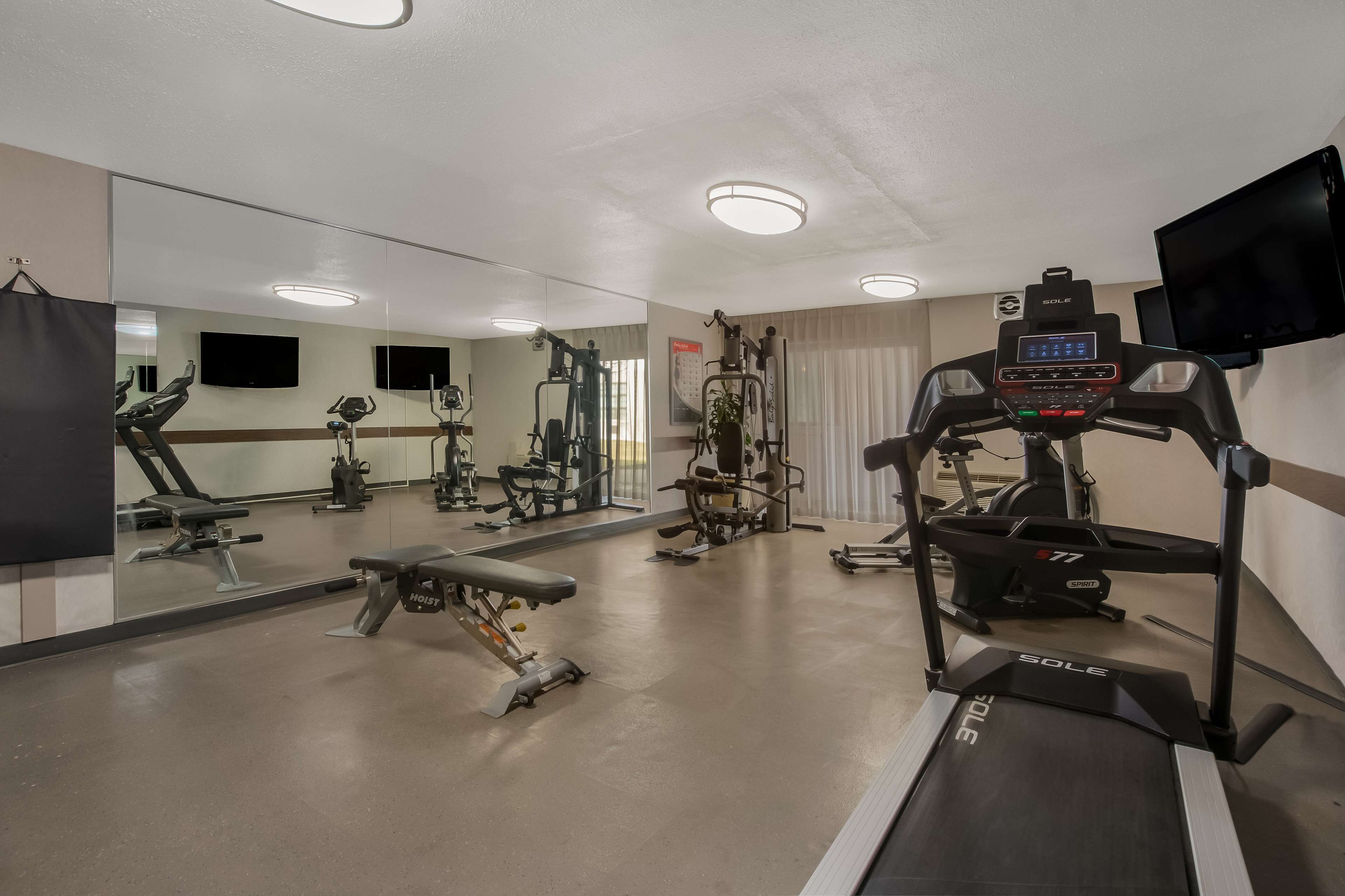 Une salle de sport équipée de tapis de course, d’un banc de musculation et d’un mur recouvert de miroirs.