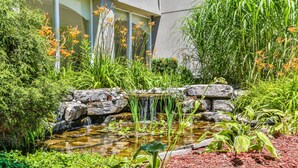 A garden with a pond, rocks, and various plants.