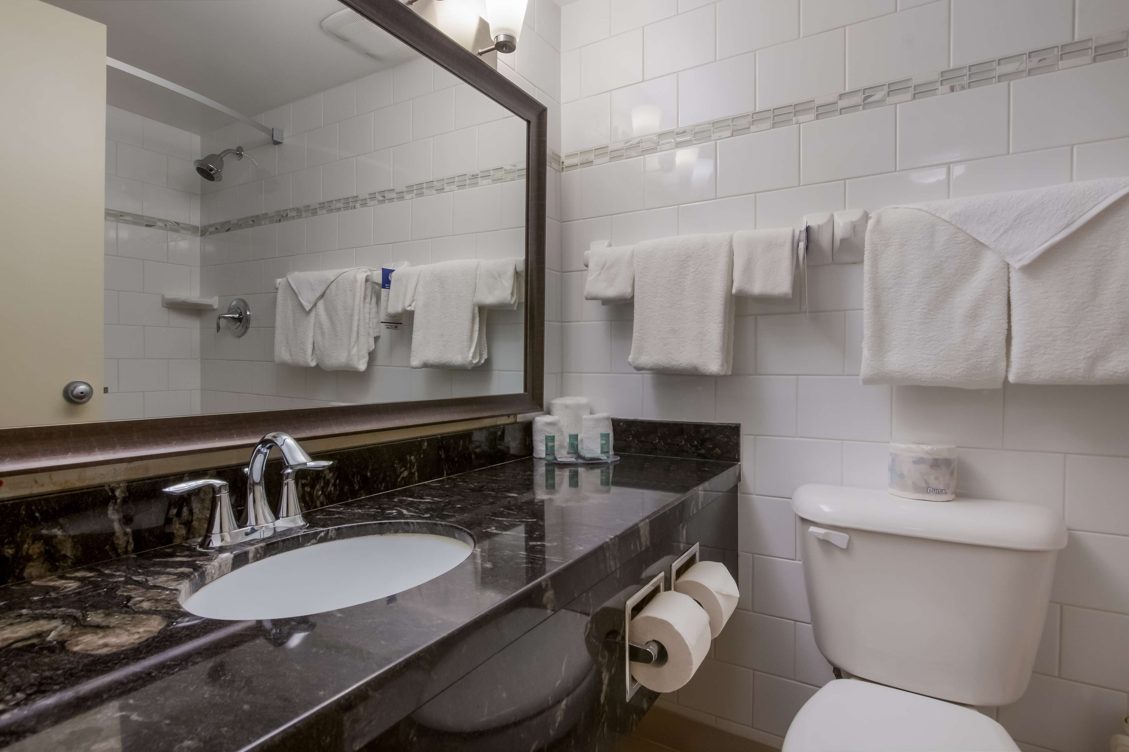 A bathroom with a marble sink, a toilet, and a mirror.