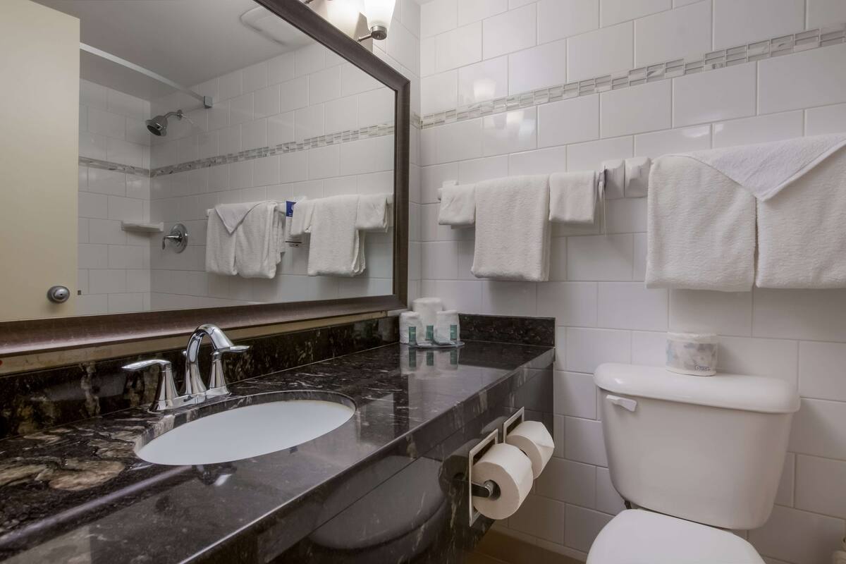 Un baño con lavamanos de mármol, inodoro y espejo.
