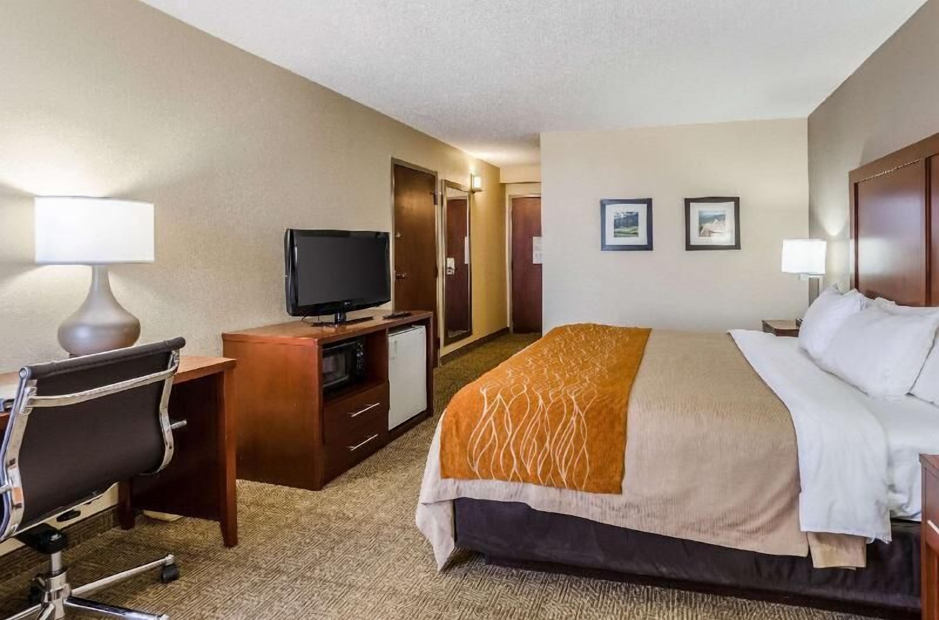 Premium bedding, in-room safe, iron/ironing board