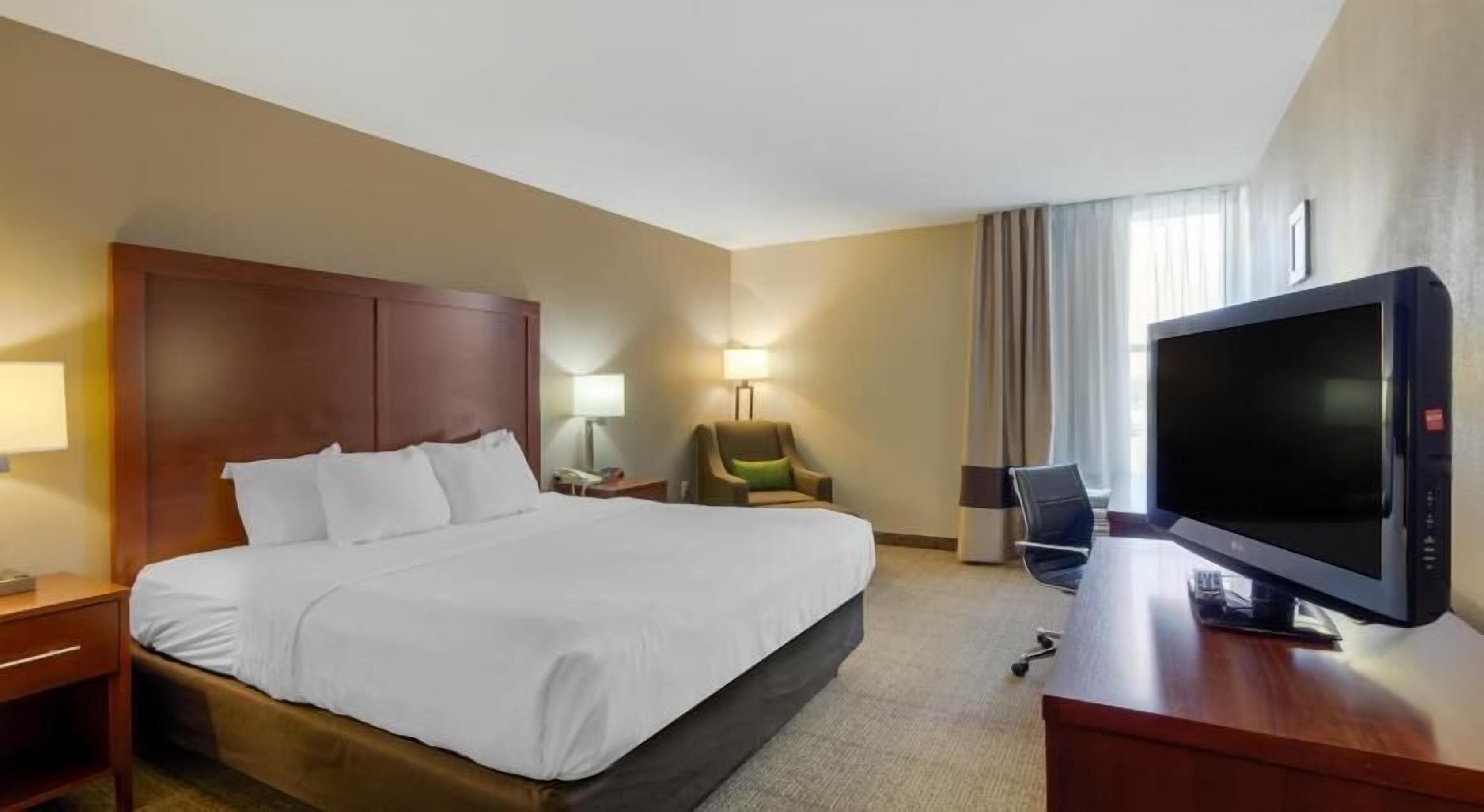 Premium bedding, in-room safe, iron/ironing board