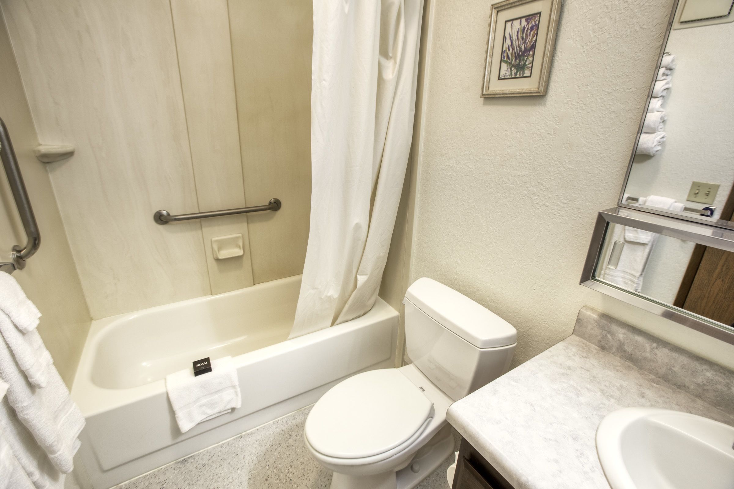 combined shower/bathtub, eco-friendly toiletries, hair dryer, towels