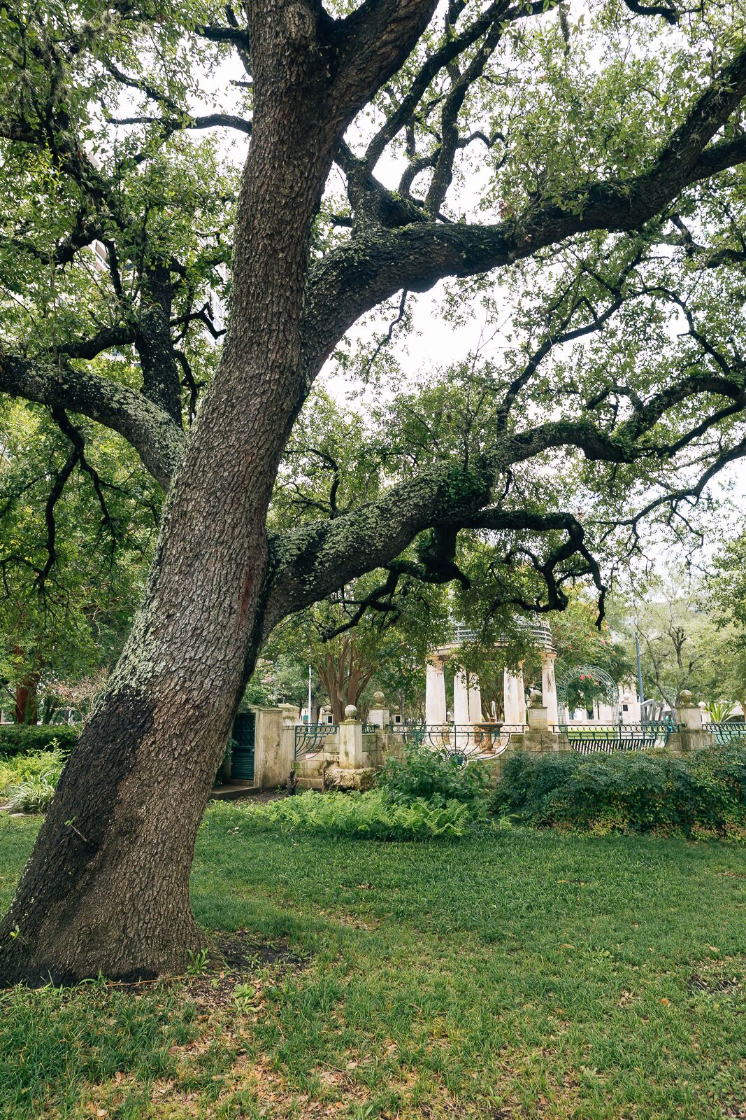 Photo - DoubleTree by Hilton Houston Medical Center Hotel & Suites