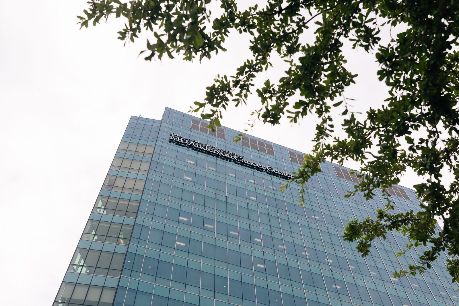 Photo - DoubleTree by Hilton Houston Medical Center Hotel & Suites