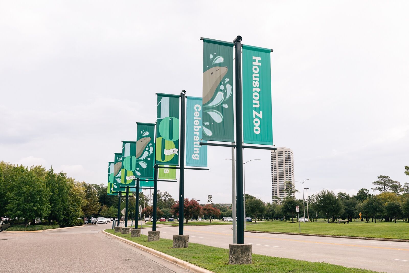 A series of green banners with the text "Houston Zoo Celebrating 80 years" along a road.