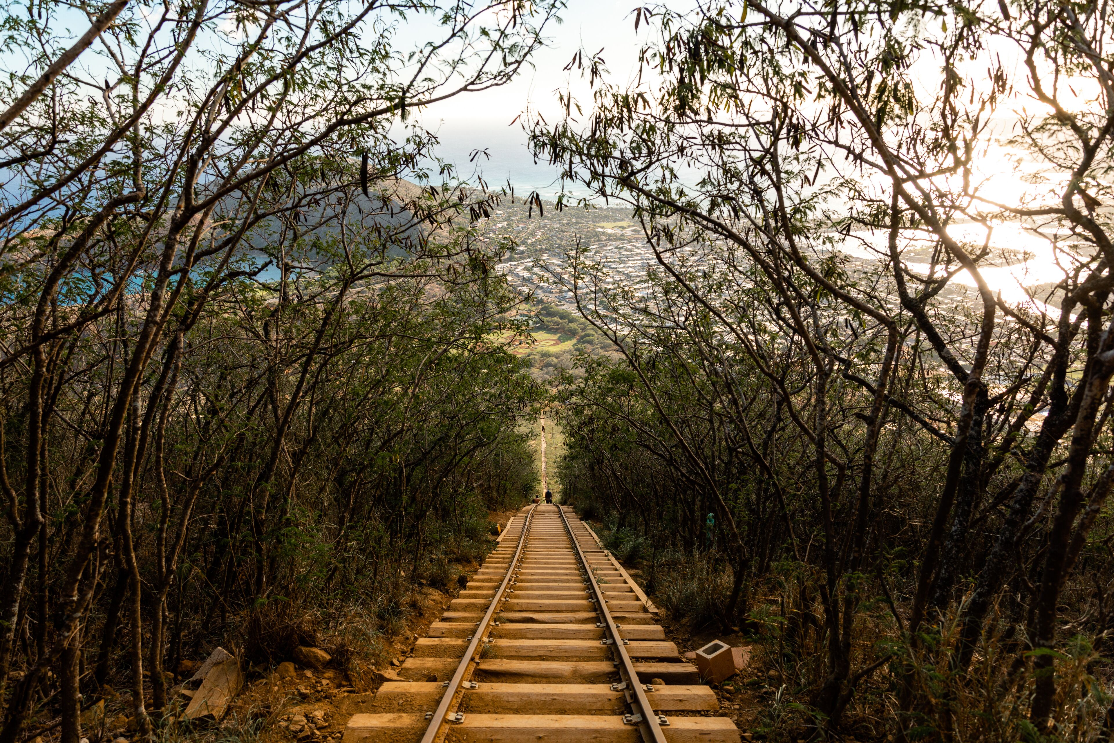 Photo - Wayfinder Waikiki - Voted Top 10 Best Hotels in Hawaii!