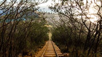 Trilhos de trem cercados por árvores densas, levando a uma paisagem distante.