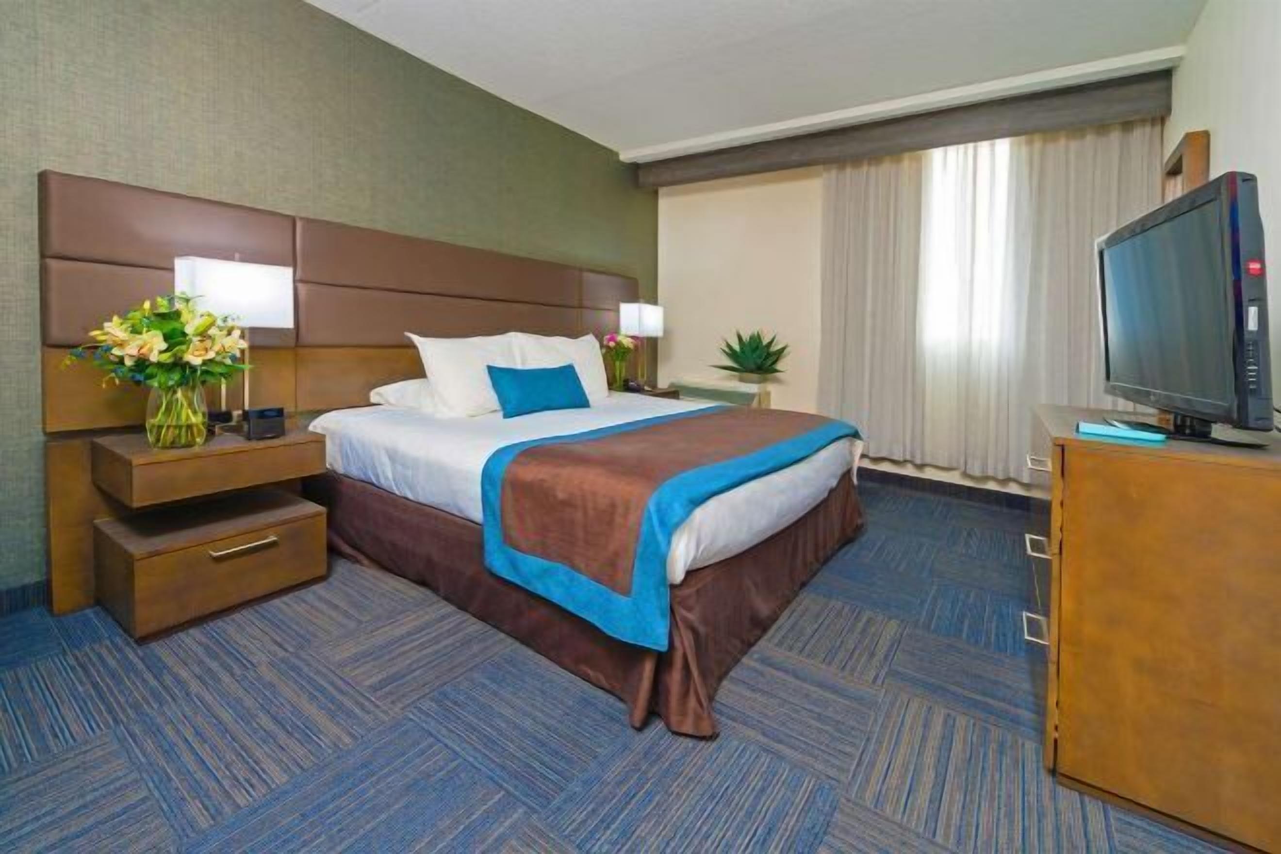 Premium bedding, in-room safe, desk, blackout drapes