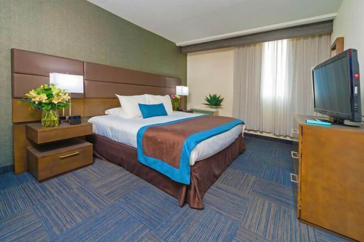 1 bedroom, premium bedding, in-room safe, desk