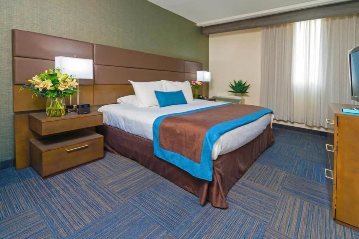 Literie de qualitĂ©, coffre-fort, bureau, rideaux dâobscurcissement