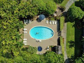 Vista aérea de una piscina rodeada de palmeras y sillas de descanso.