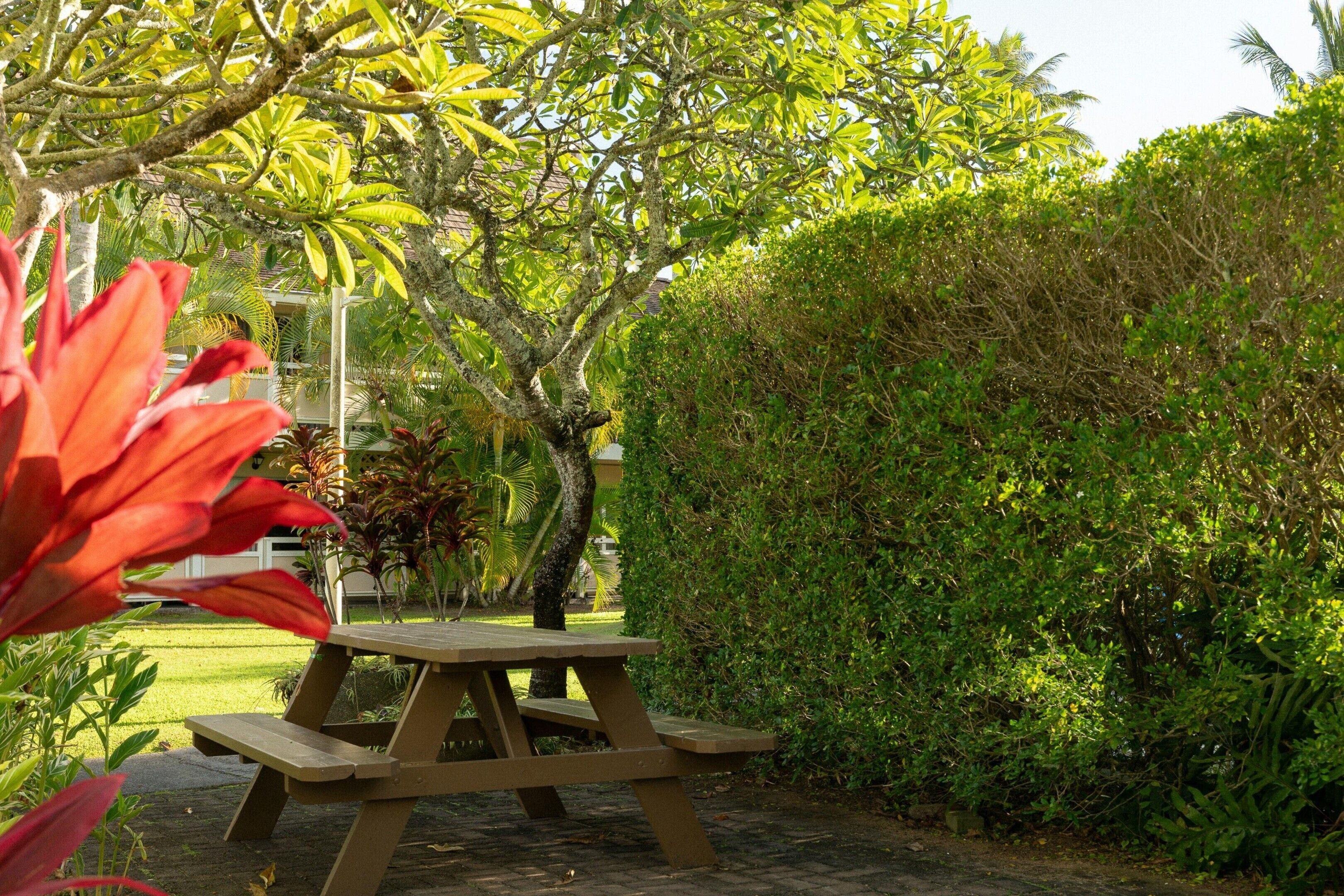 A picnic table in a garden with lush greenery and a well-maintained lawn.