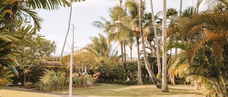 Vista desde la propiedad