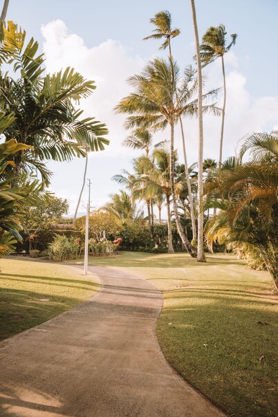 Plantation Hale Suites