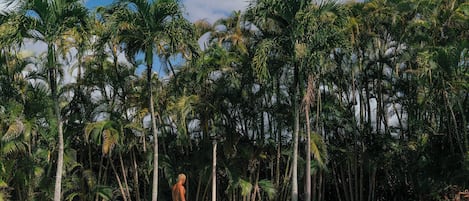 Équipement de l’hébergement