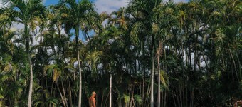 Plantation Hale Suites