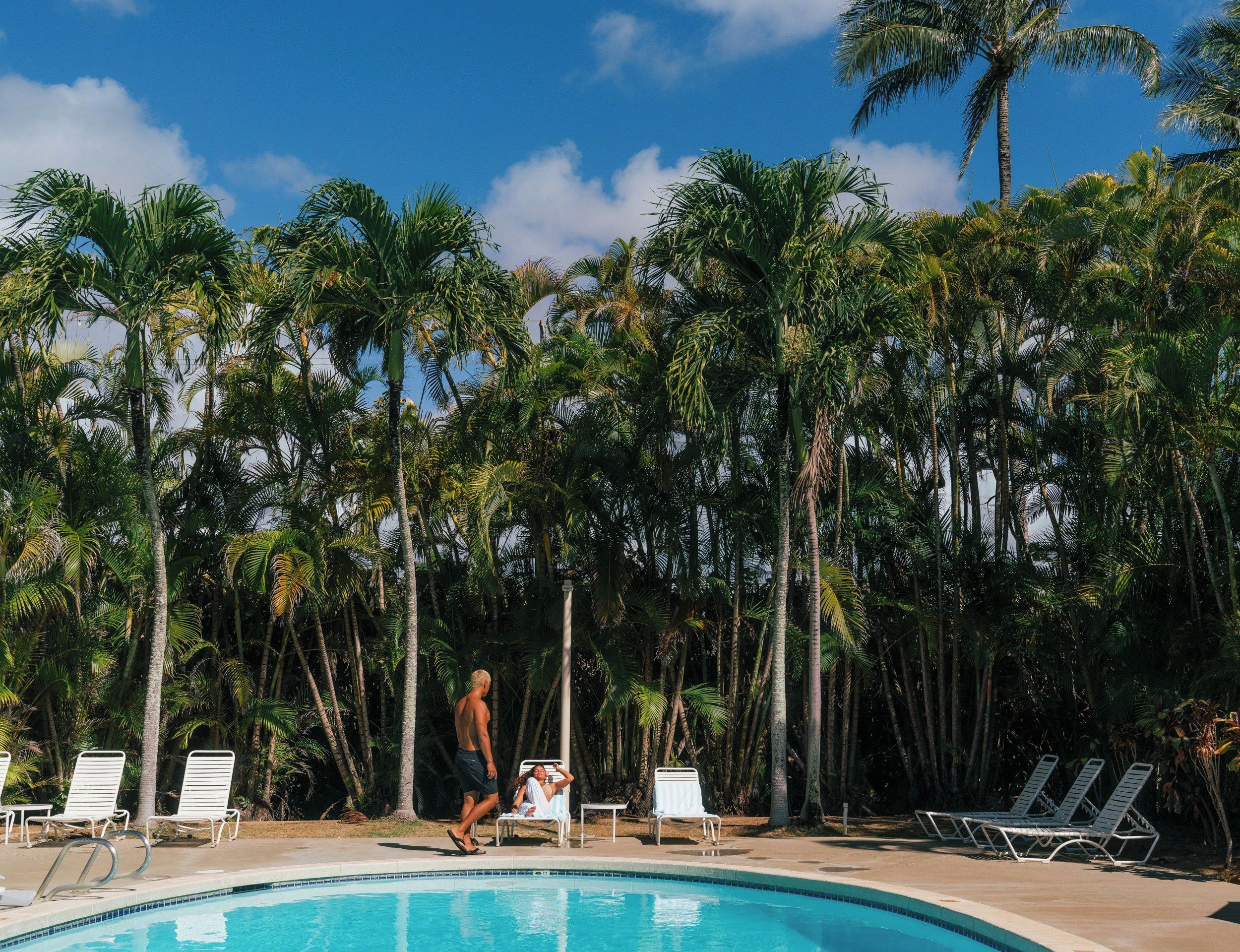 A swimming pool with lounge chairs and palm trees in the background.