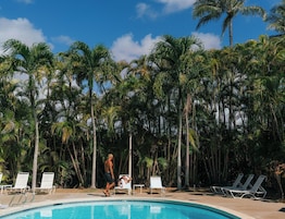 Una piscina con sillas de descanso y palmeras al fondo.