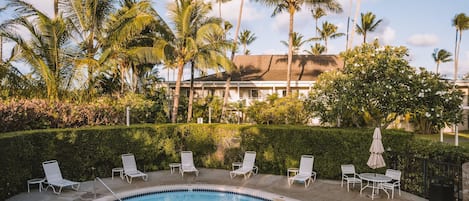 Suite, 1 Schlafzimmer, Küche, Poolblick (1 King Bed with Sofa Bed) | Pool | 3 Außenpools, geöffnet von 08:00 Uhr bis 22:00 Uhr, Liegestühle