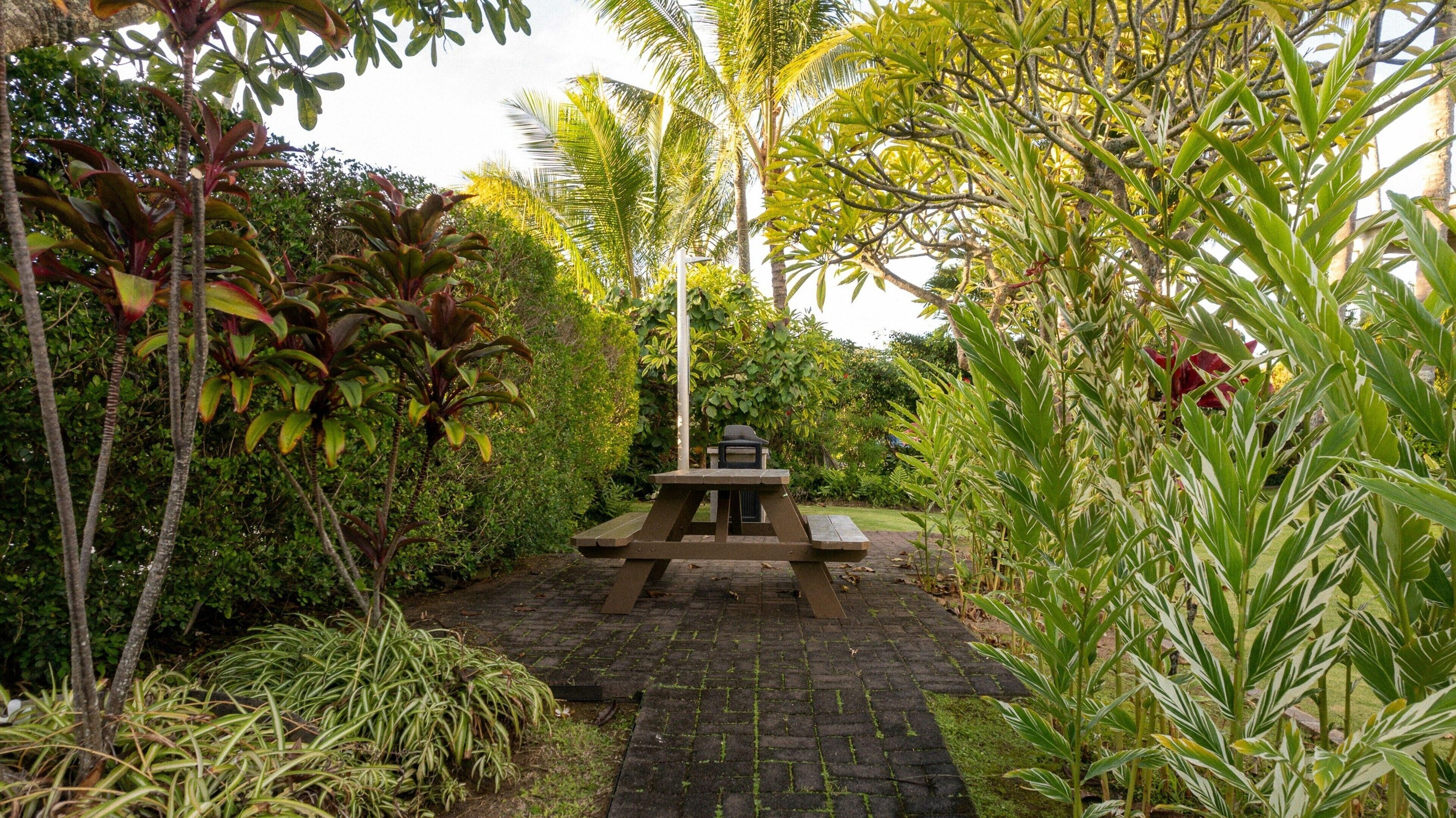 Un sendero en un jardín que lleva a una mesa de picnic rodeada de abundante vegetación y palmeras.