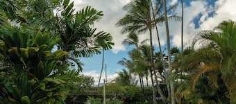 Plantation Hale Suites