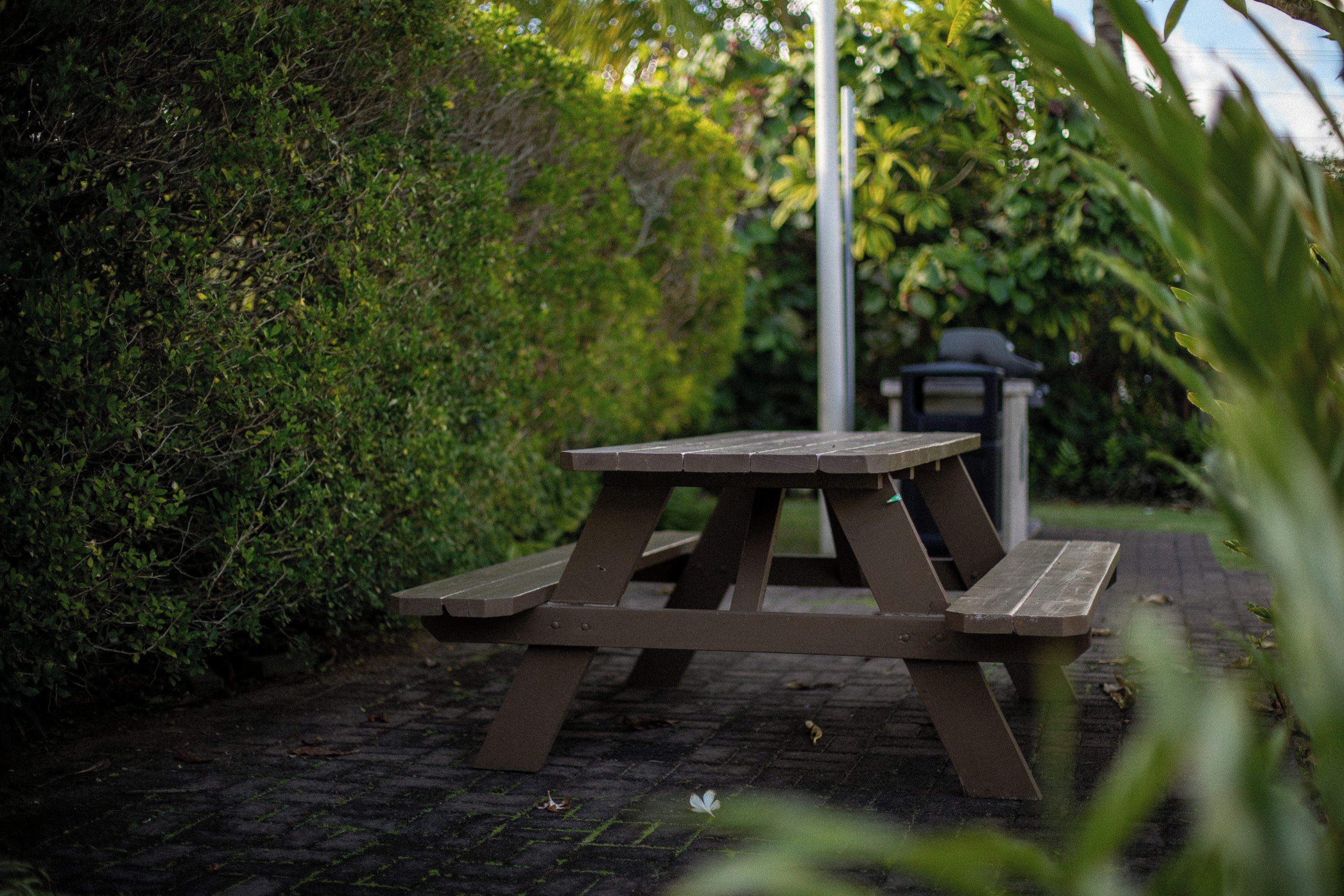 Una mesa de picnic en un jardín con un sendero de ladrillos y abundante follaje.