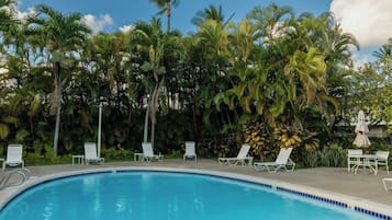 Una piscina con sillas de descanso y sombrillas, rodeada de palmeras.