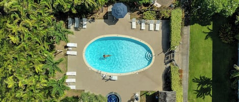 Vue aérienne d’une piscine entourée de palmiers et de chaises longues.