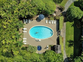 Vista aérea de una piscina rodeada de palmeras y sillas de descanso.