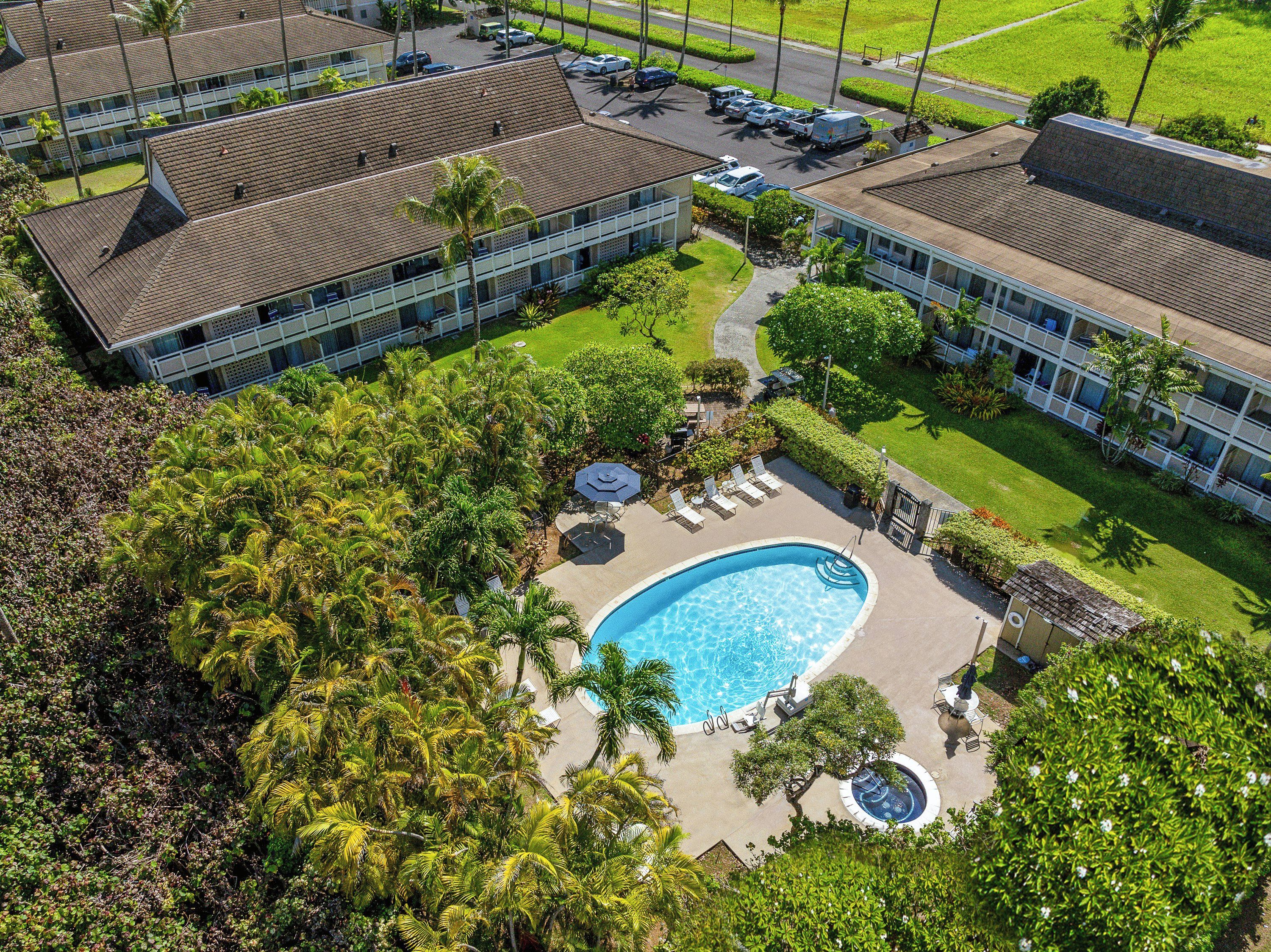 A hotel with a swimming pool surrounded by palm trees and lounge chairs.
