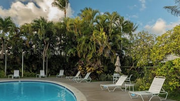 A pool area with lounge chairs and palm trees.