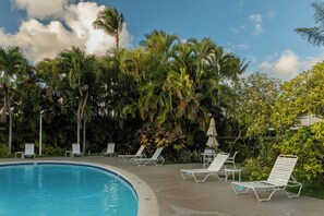Zona de piscina con sillones de descanso y palmeras.