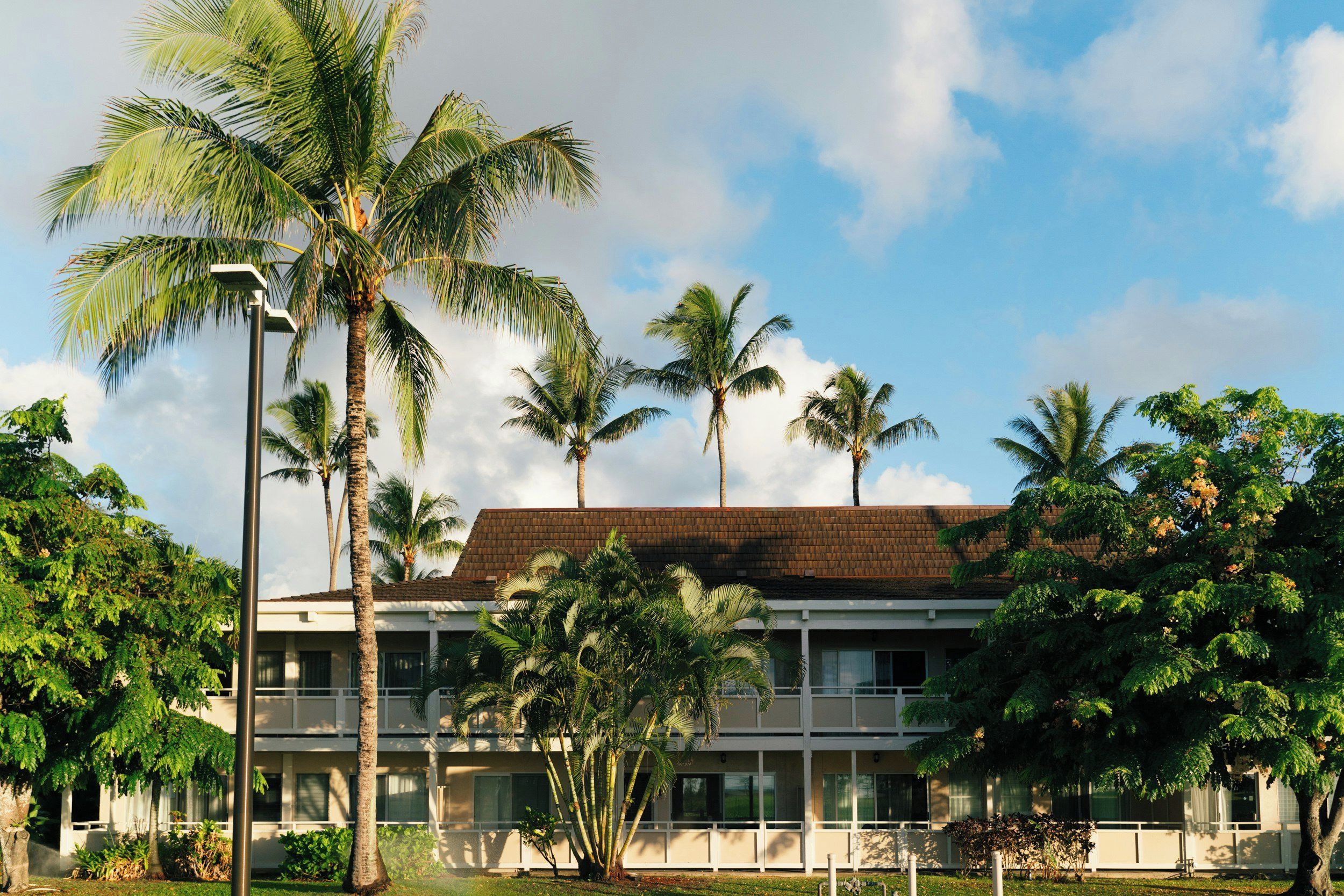A building with a flat roof, surrounded by palm trees and other greenery.