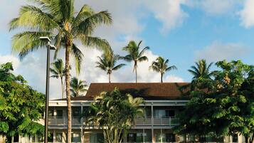 A building with a flat roof, surrounded by palm trees and other greenery.