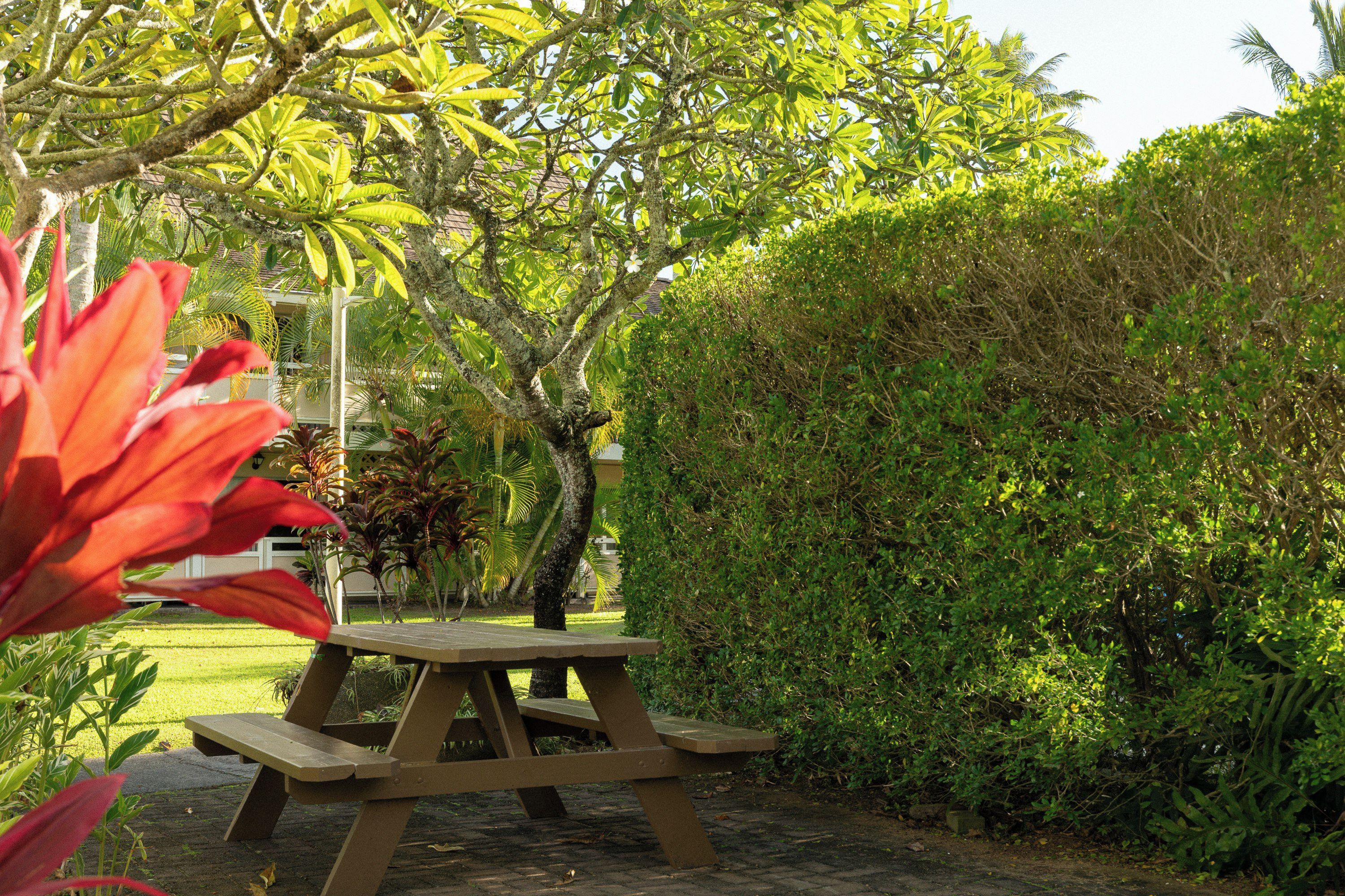A picnic table in a garden with dense foliage and a well-maintained lawn.