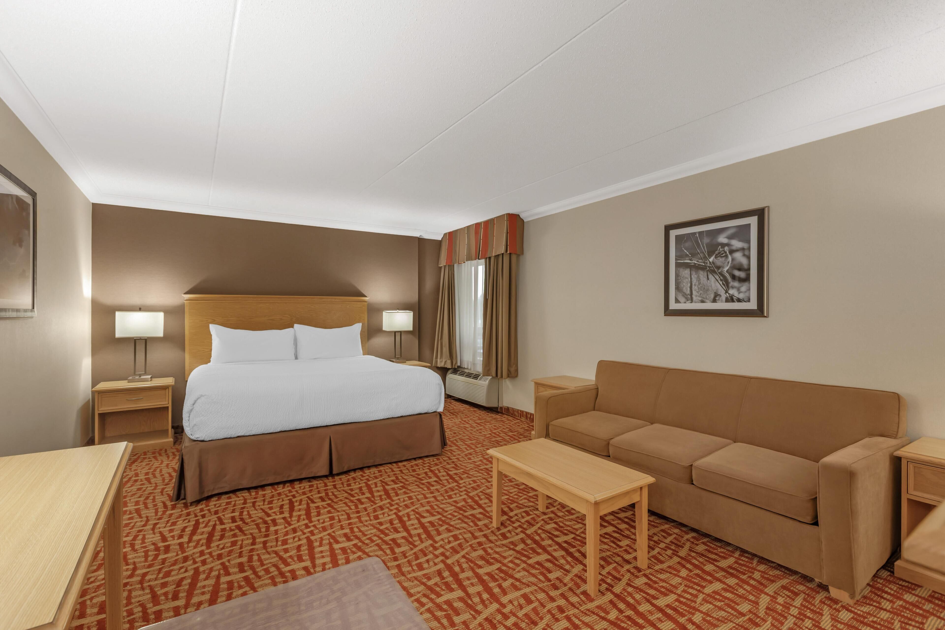 Standard Room, 1 King Bed, Non Smoking, Refrigerator (with Sofabed) | Premium bedding, in-room safe, desk, laptop workspace