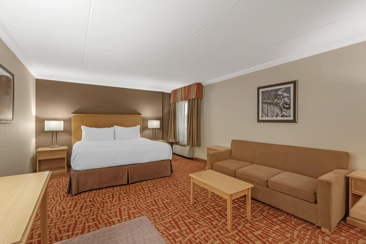 Standard Room, 1 King Bed, Non Smoking, Refrigerator (with Sofabed) | Premium bedding, in-room safe, desk, laptop workspace