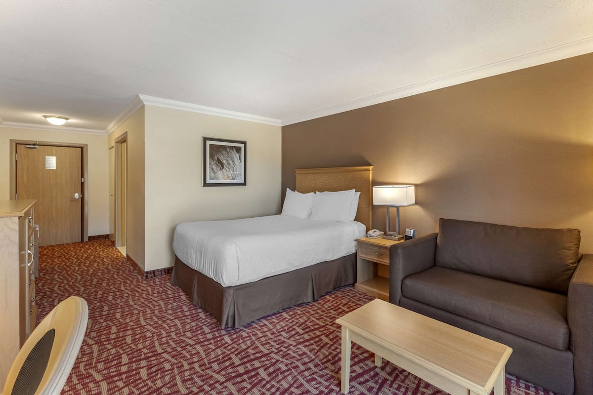 Standard Room, 1 Queen Bed, Accessible, Patio