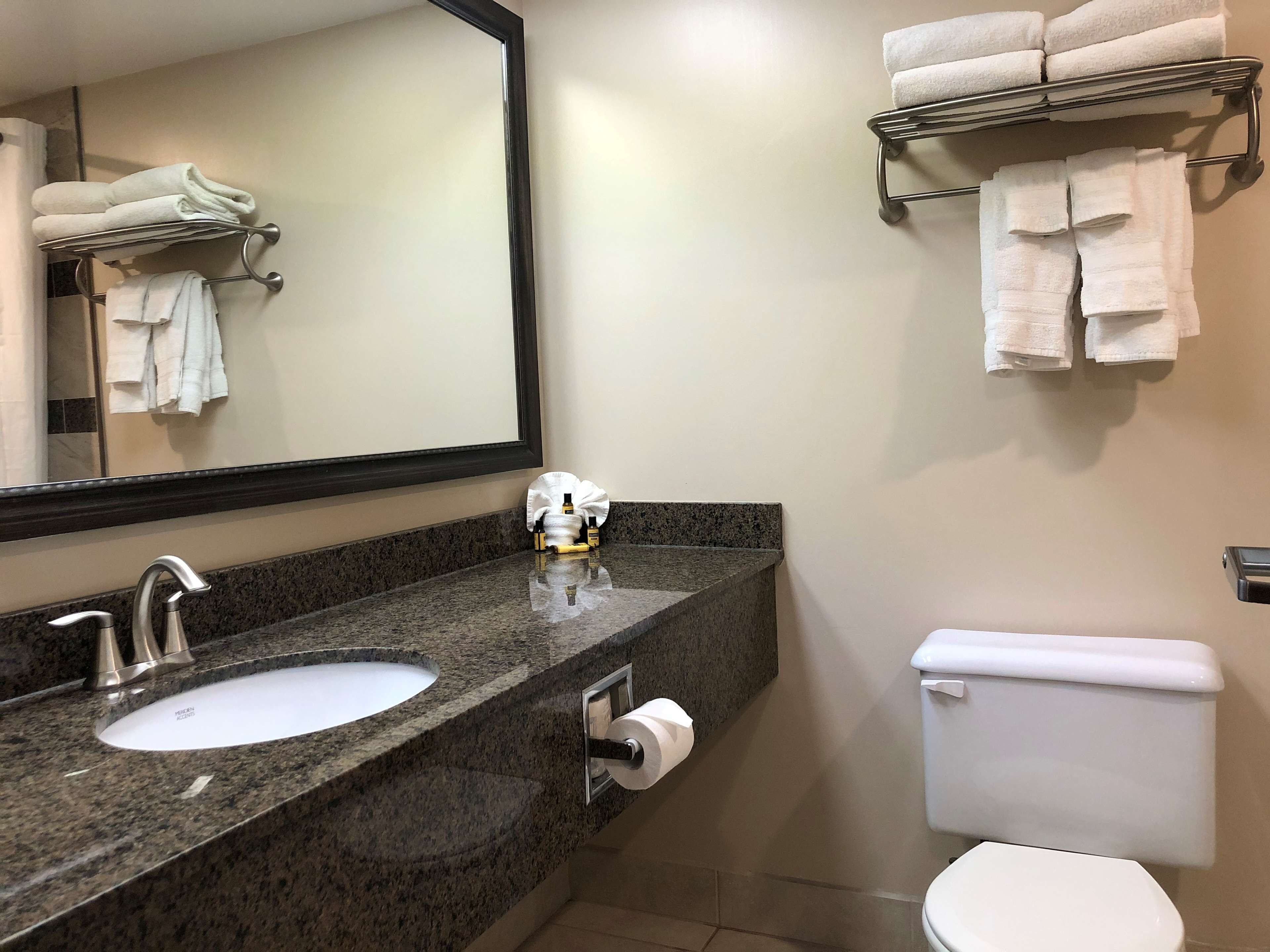 Un baño con encimera de granito, lavamanos, espejo, inodoro y toalleros.