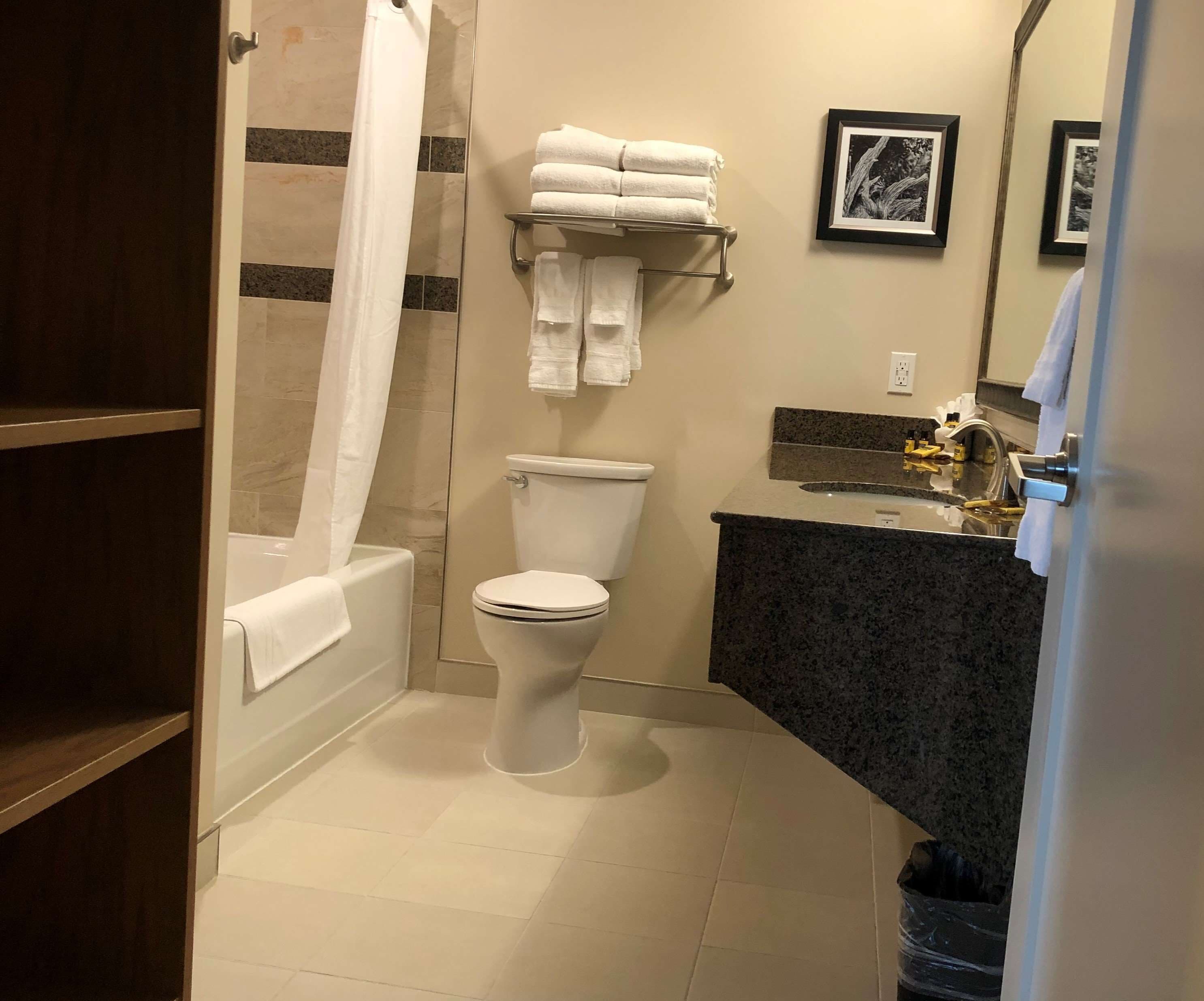A bathroom with a toilet, a shower, a sink with a countertop, and a towel rack with folded towels.