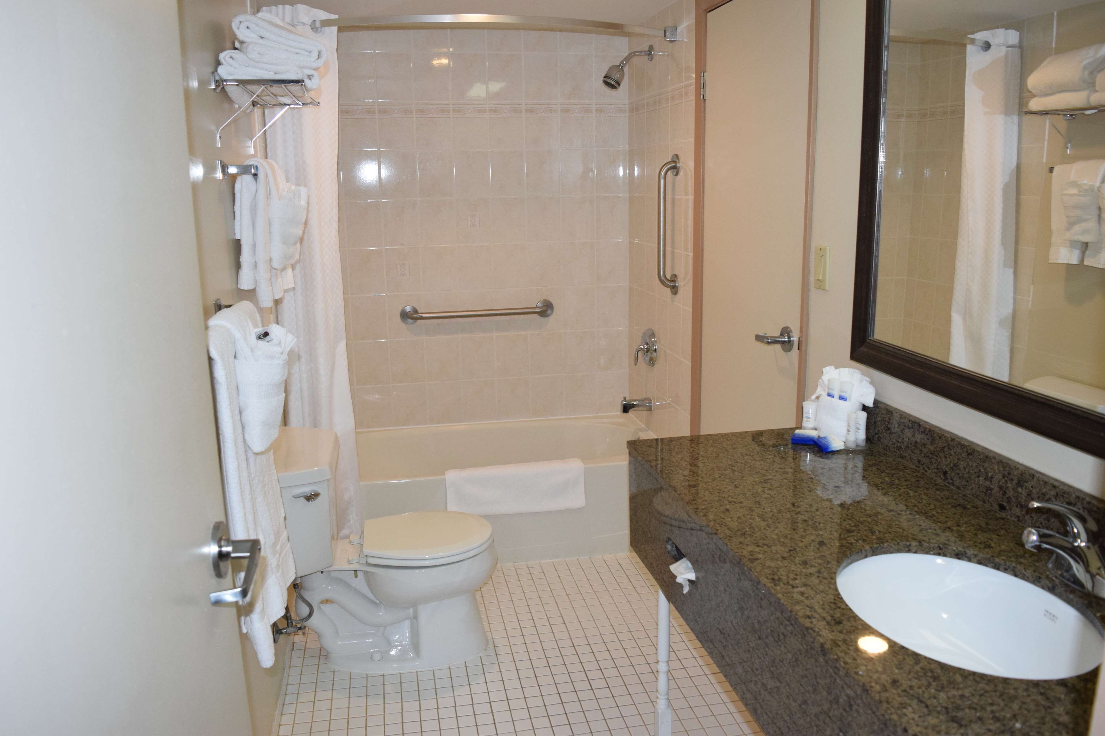 A bathroom with a toilet, sink, and shower.