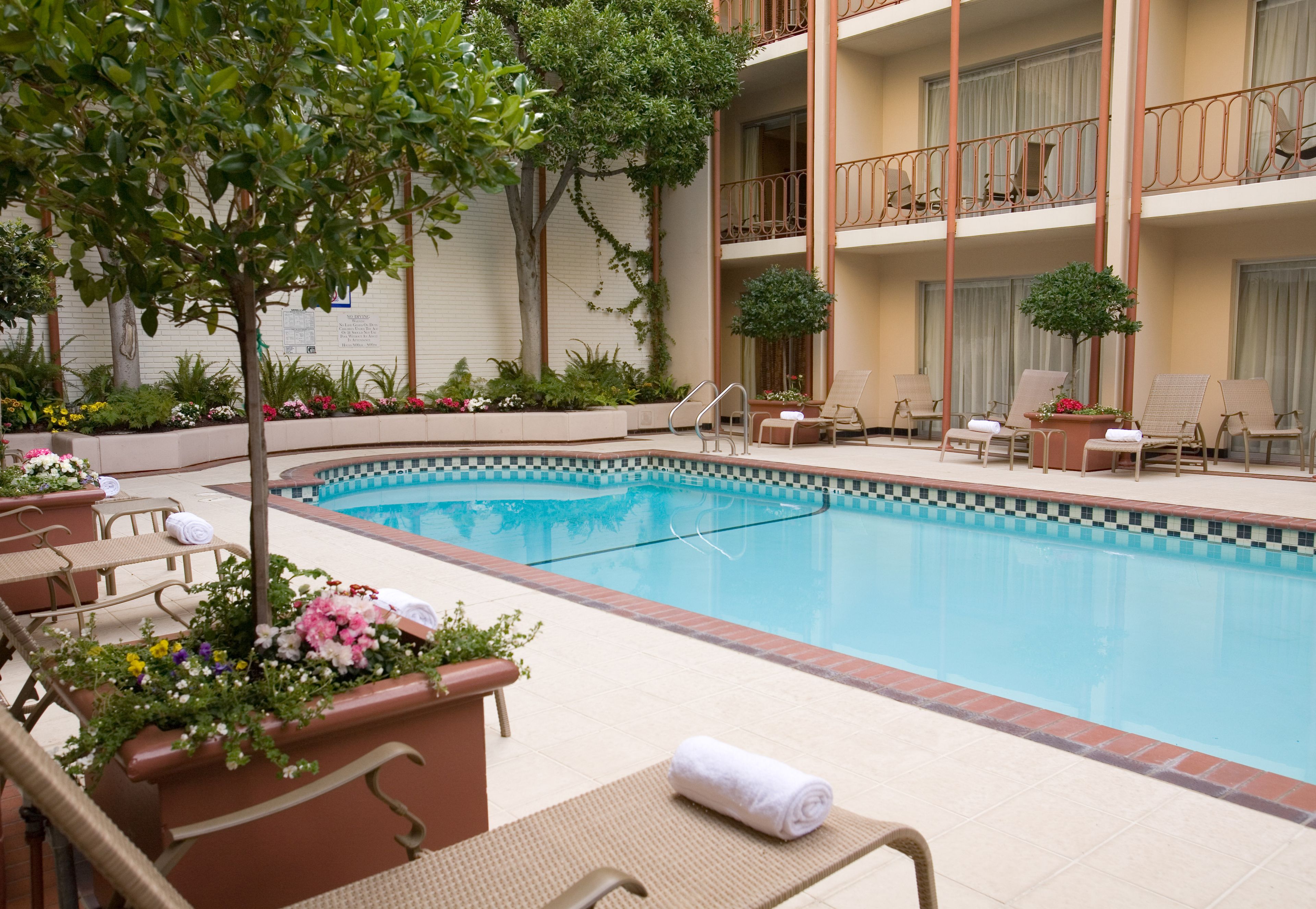 室外游泳池，恒温泳池，08:00 至 20:00 开放，日光浴躺椅