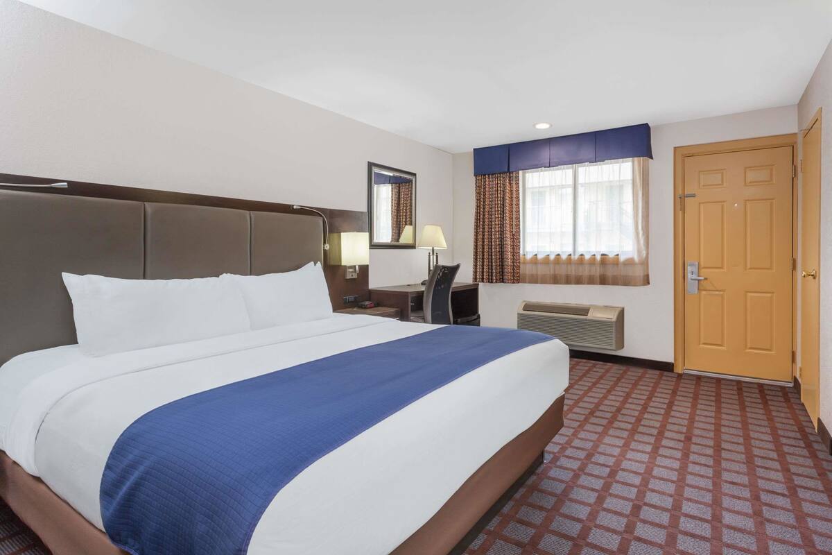 Habitación de hotel con una cama grande, un escritorio, una silla, una ventana con cortinas, una puerta y un radiador.