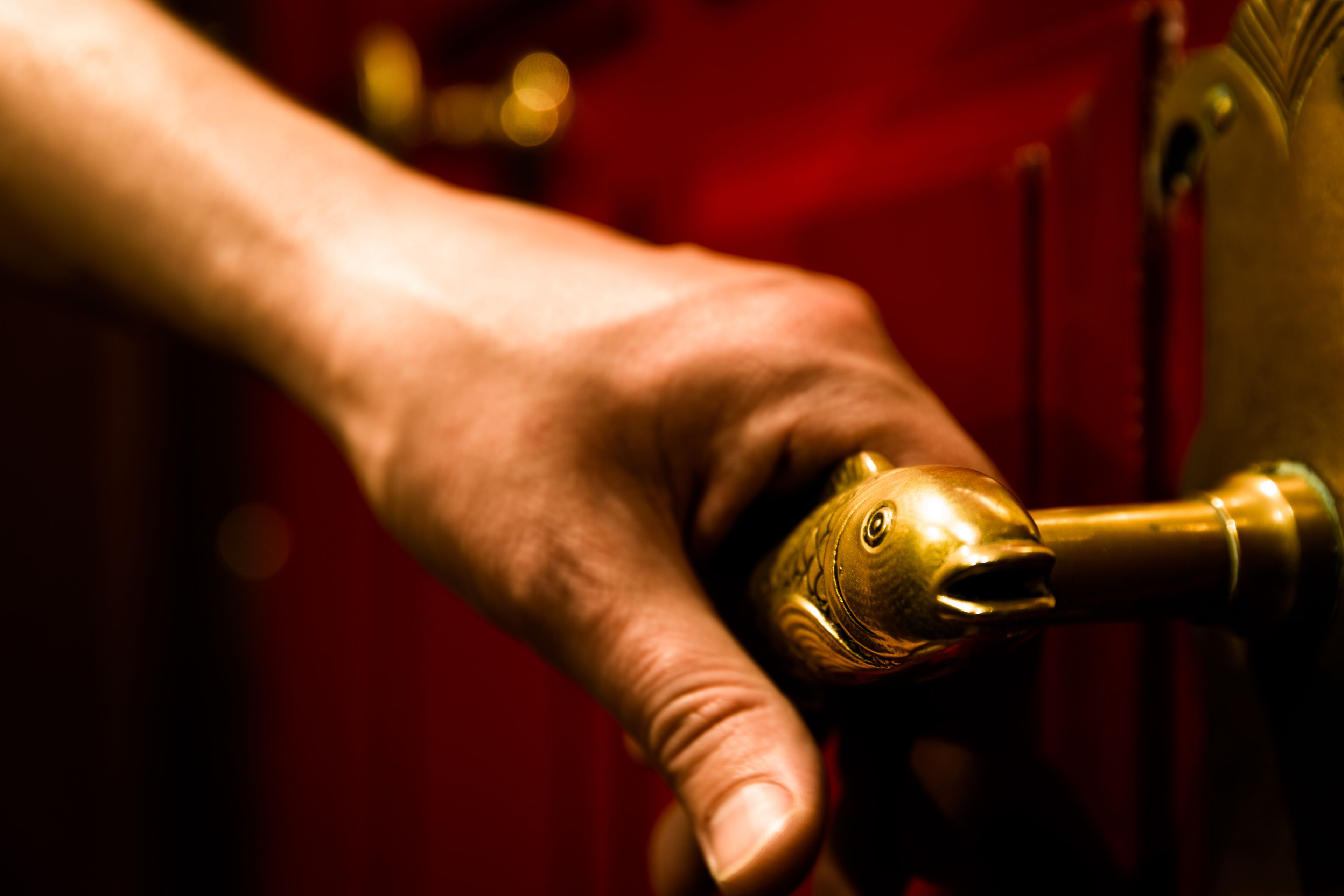 lunch and dinner served, seafood