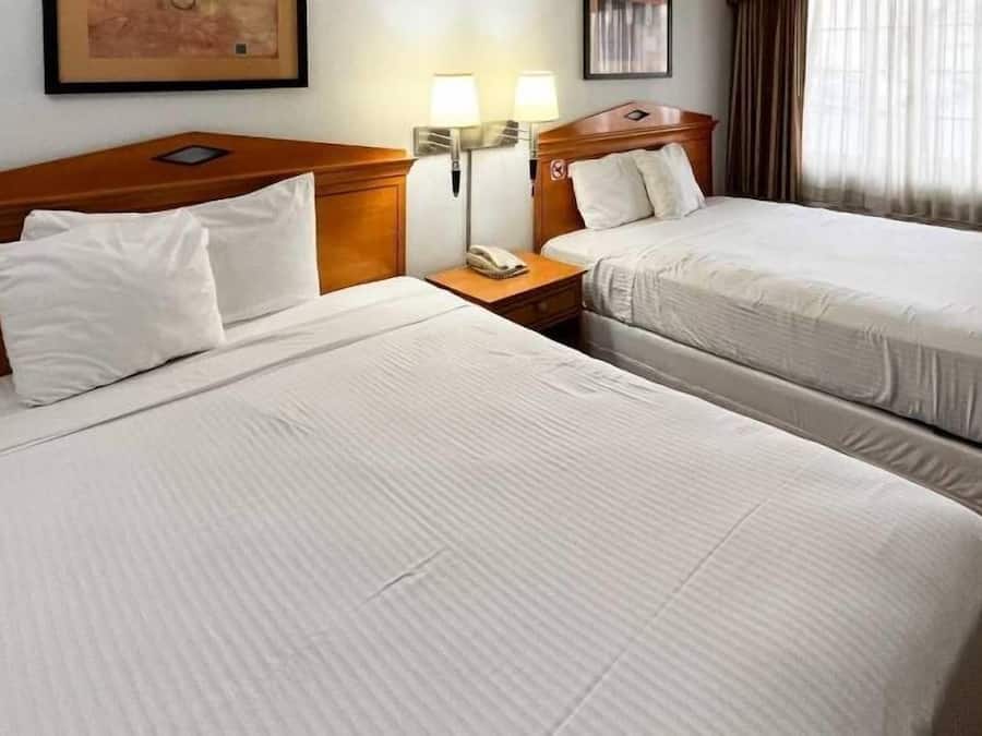 Skrivbord, mörkläggningsgardiner, gratis wi-fi och sängkläder